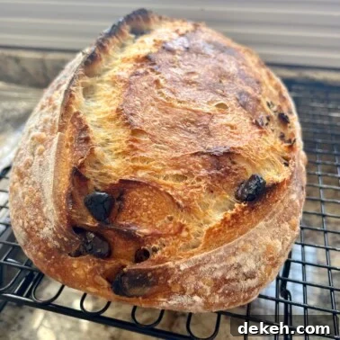 Sourdough bread loaf on a cooling rack.