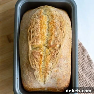 A loaf of sourdough bread in a loaf pan