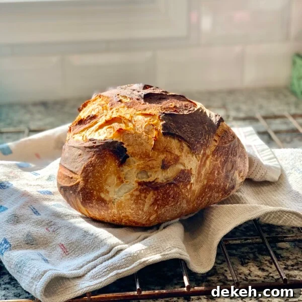 Replace Commercial Yeast with a Sourdough Starter 6 A loaf of beginner sourdough bread sitting on a kitchen towel.