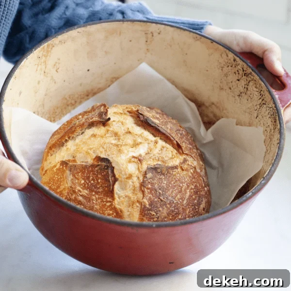 Replace Commercial Yeast with a Sourdough Starter 10 Sourdough bread in a dutch oven on a countertop.