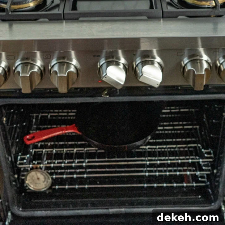 How to Reheat Steak: Stovetop, Oven & Sous Vide Methods 4 Cast iron skillet in oven
