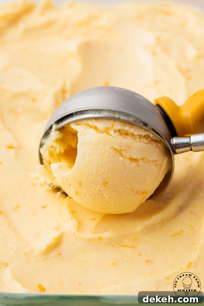an ice cream scoop serving orange ice cream with zest.