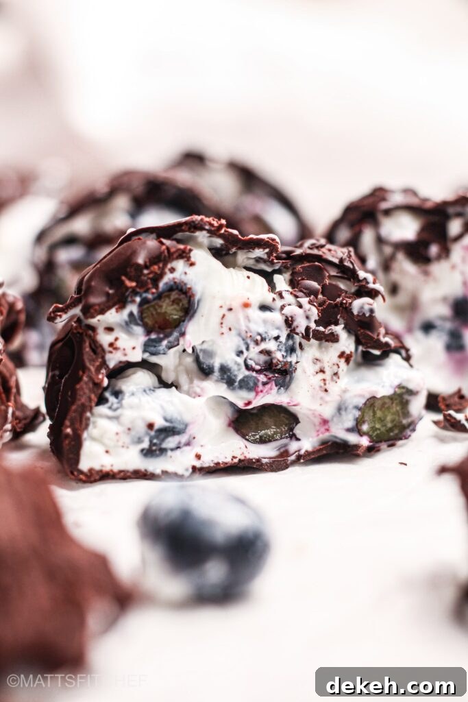 No-Bake Blueberry Yogurt Clusters Recipe 2 Blueberry Yogurt Clusters
