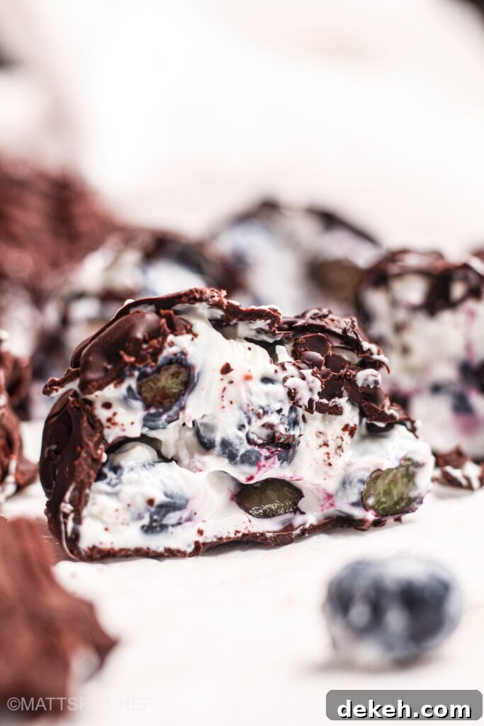 No-Bake Blueberry Yogurt Clusters Recipe 4 Frozen Blueberry Yogurt Clusters