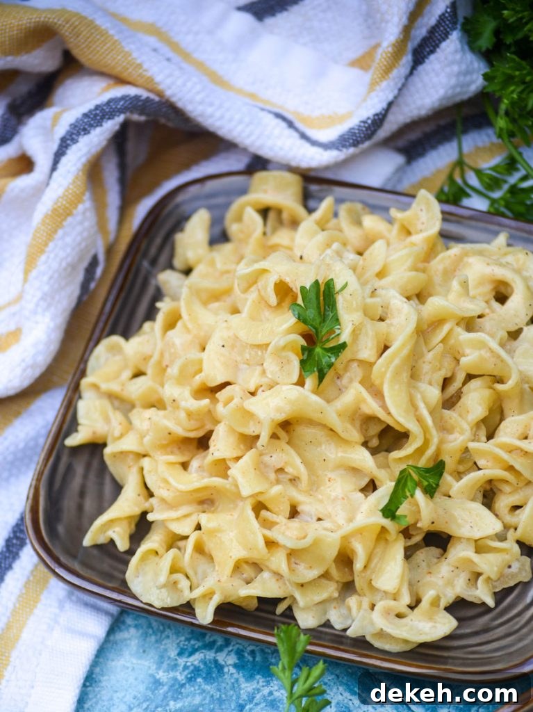 Creamy Cajun Egg Noodles Recipe with Spicy Sausage and Veggies 6 Serving of creamy noodles