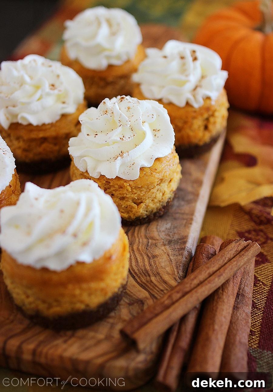 Mini Pumpkin Cheesecakes with Gingersnap Crusts – These creamy pumpkin cheesecakes with spiced gingersnap cookie crusts are to die for! | thecomfortofcooking.com