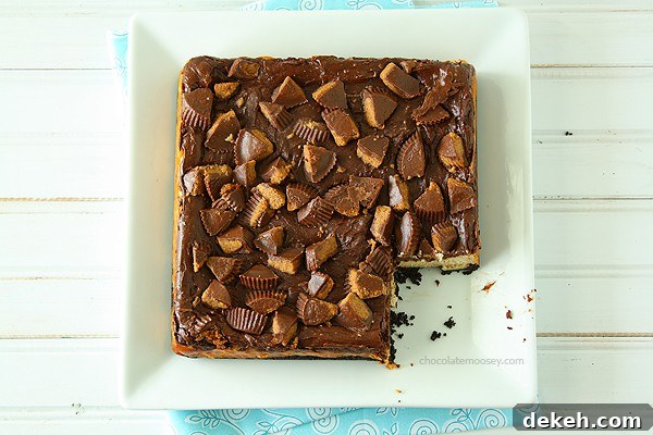 Chocolate Peanut Butter Cup Cheesecake Squares | www.chocolatemoosey.com