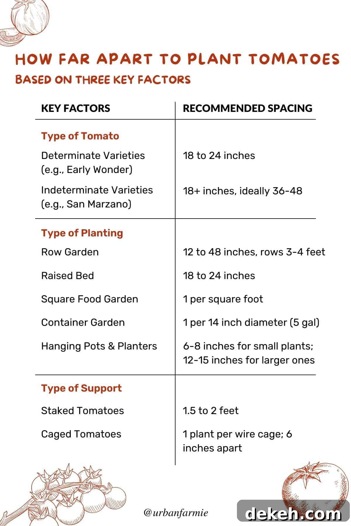 Tomato Plant Spacing: How Far Apart to Plant for a Bigger Harvest 3 Infographic showing the summary of the post - tomato plant spacing based on variety, type of planting, and type of support structure. Refer to post for details.