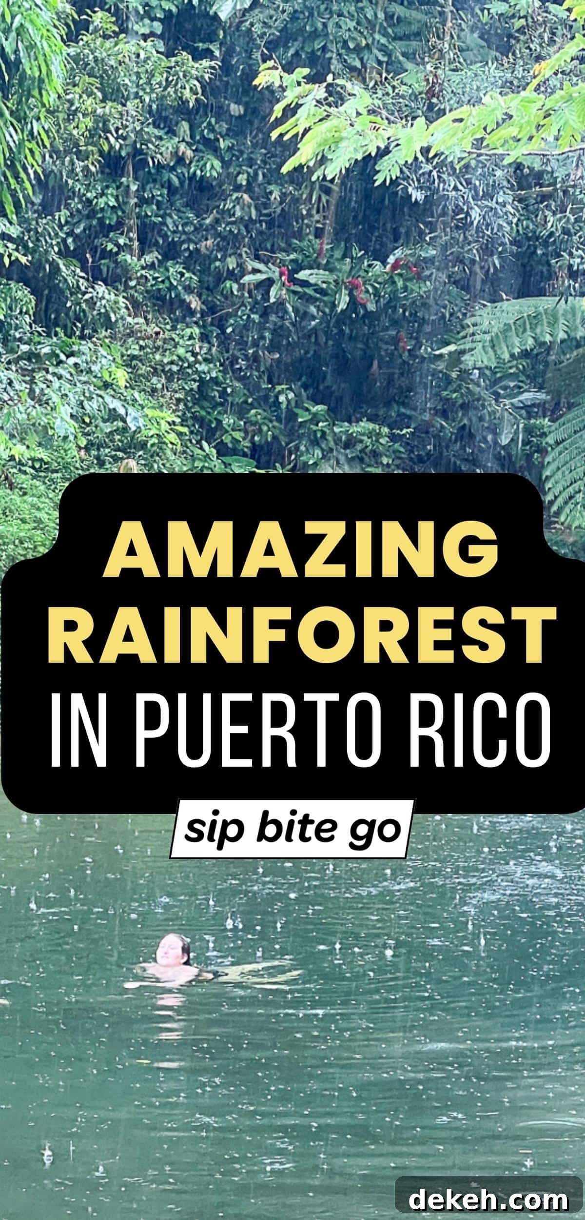 El Yunque Rainforest Day Tour from San Juan 12 Puerto Rico Travel Rainforest Excursion Photo with text overlay and Sip Bite Go logo