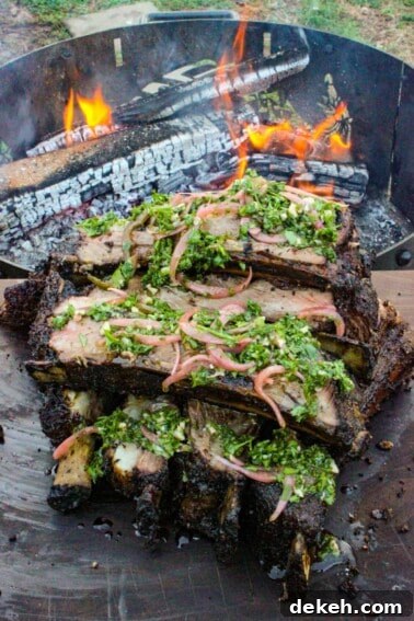 Smoked Beef Ribs with Garlic and Jalapeño 12 Gaucho Beef Ribs Recipe