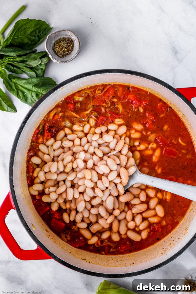 Tomato Basil Soup with Two-Bean Medley 4 Duo Bean Tomato Basil Soup