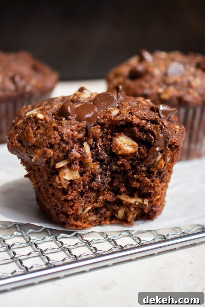Moist Coconut Oatmeal Chocolate Muffins 5 Finished coconut oatmeal chocolate muffins
