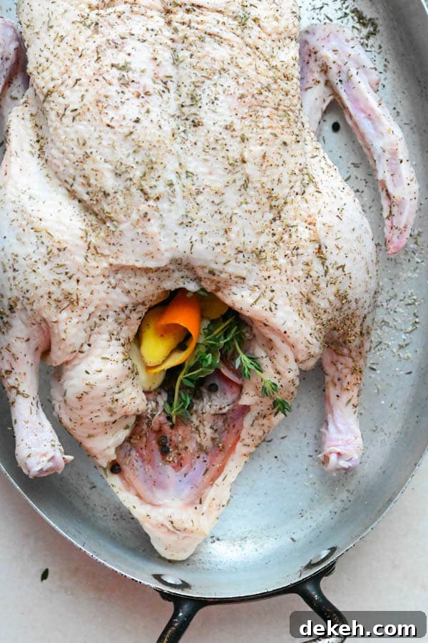 stuffing duck for pate de canard (aka potted meat)