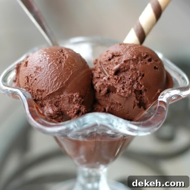 Creamy Chocolate Gelato Recipe for Chocolate Monday 2 img 6920 1