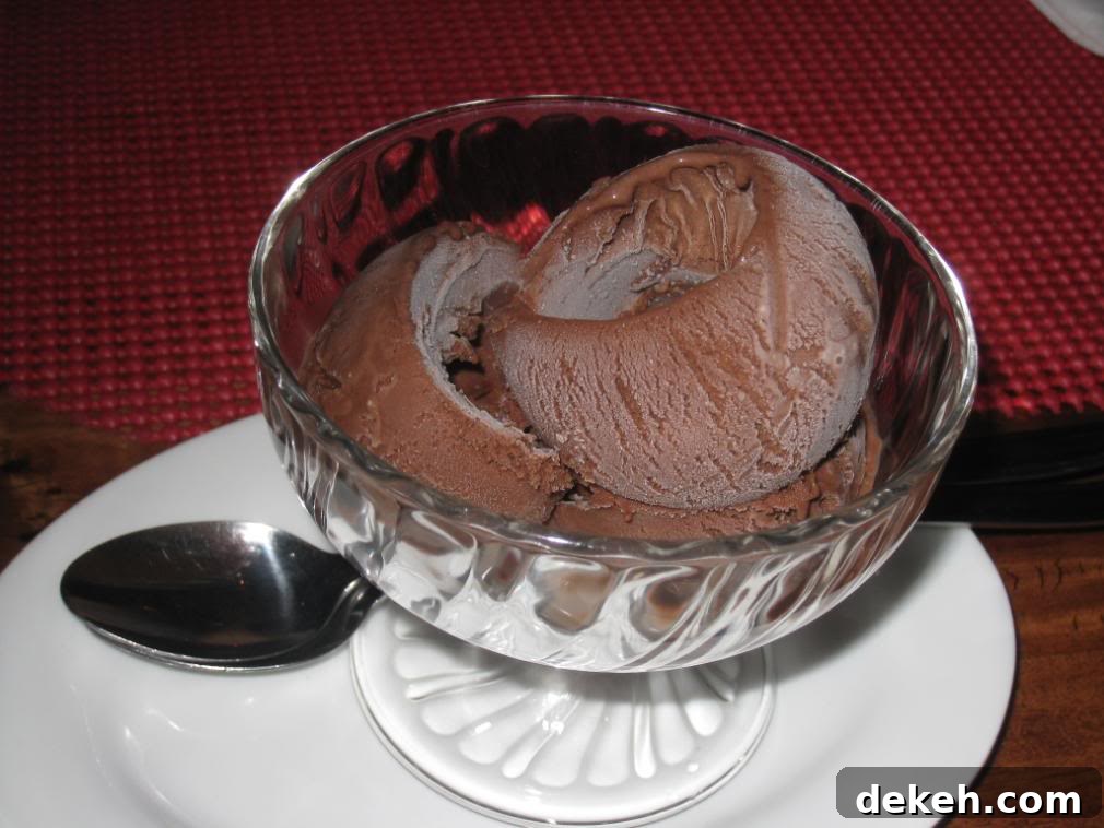 Creamy Chocolate Gelato Recipe for Chocolate Monday 6 img 6920 3