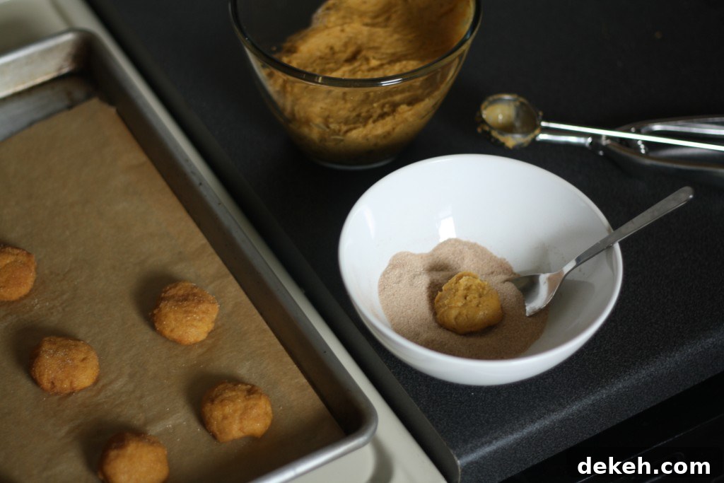 snickerdoodling Rolling cookies in cinnamon sugar