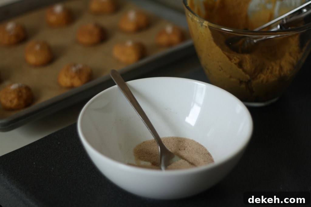 sugar Bowls of sugar and cinnamon