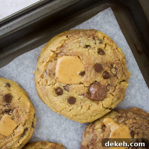 Chewy Peanut Butter and Nutella Swirl Cookies 7 Peanut Butter Nutella Cookies