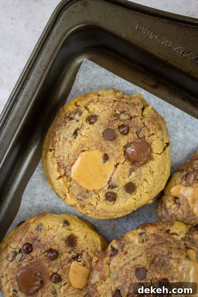 Chewy Peanut Butter and Nutella Swirl Cookies 5 Baked cookies on rack